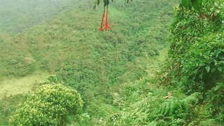 Kolumbijský v Lese Dát Jazyk a Prdeli s Cizinci Sex Výměnou Za Finanční Pomoc.