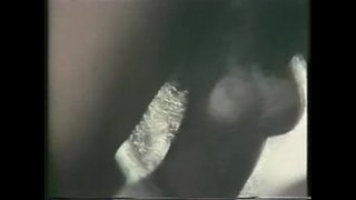 Вінтаж Міжрасавых Трах 1