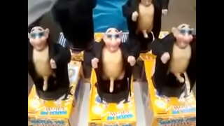 Կապիկ հորեղբայրը пенос