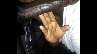 В полдень поднимите карашат менен дивана