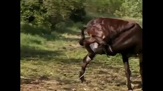 Tunde ਤਿੰਨ ਨਾਲ