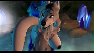 ���້ໍາແລະ wolf